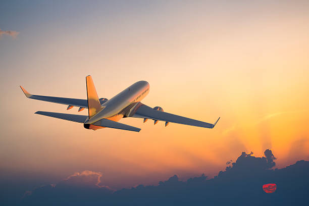 Número de Teléfono de Atención al Cliente de ~#Delta #Guía Completa Paso a Paso 2026 - BiliBili